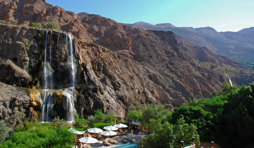 Treatment & Therapy thumbnail 2